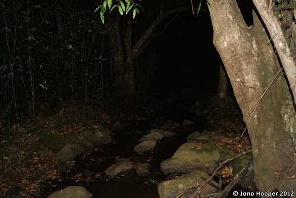 Rocky habitat