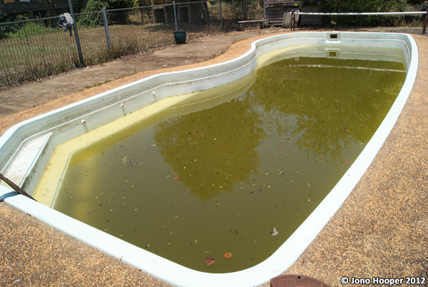 Neglected pool