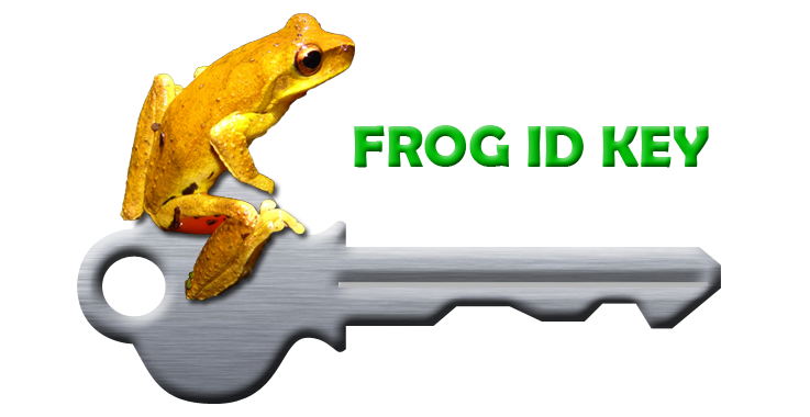 toad authorization key