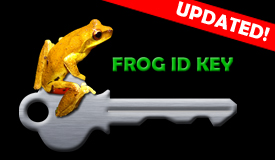 Frog ID Key, identify frogs, frog identification